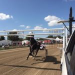 We Have Little Brown Jug Coverage 2018 — September 16th thru 20th